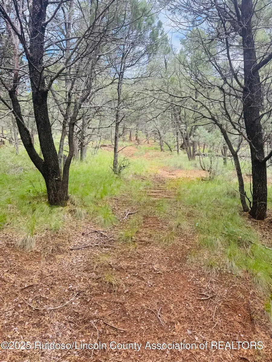 - Johnnys Drive, Timberon, NM 88350 - #2