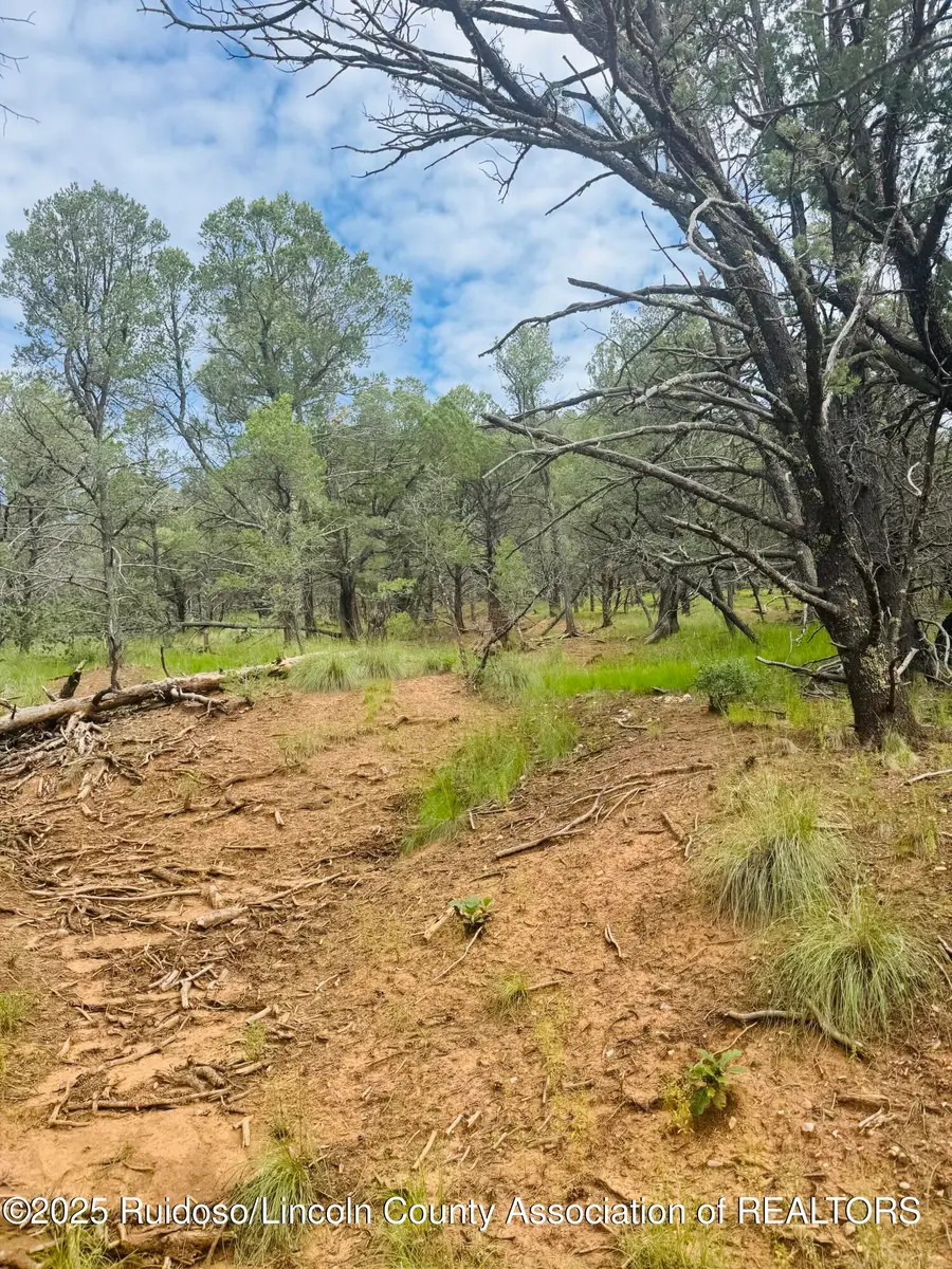 - Johnnys Drive, Timberon, NM 88350 - #3