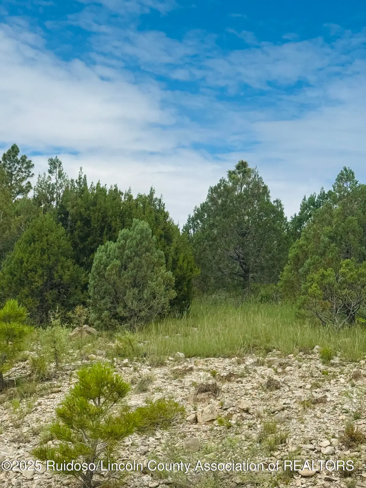 - Johnny's Drive, Timberon, NM 88350 - #1
