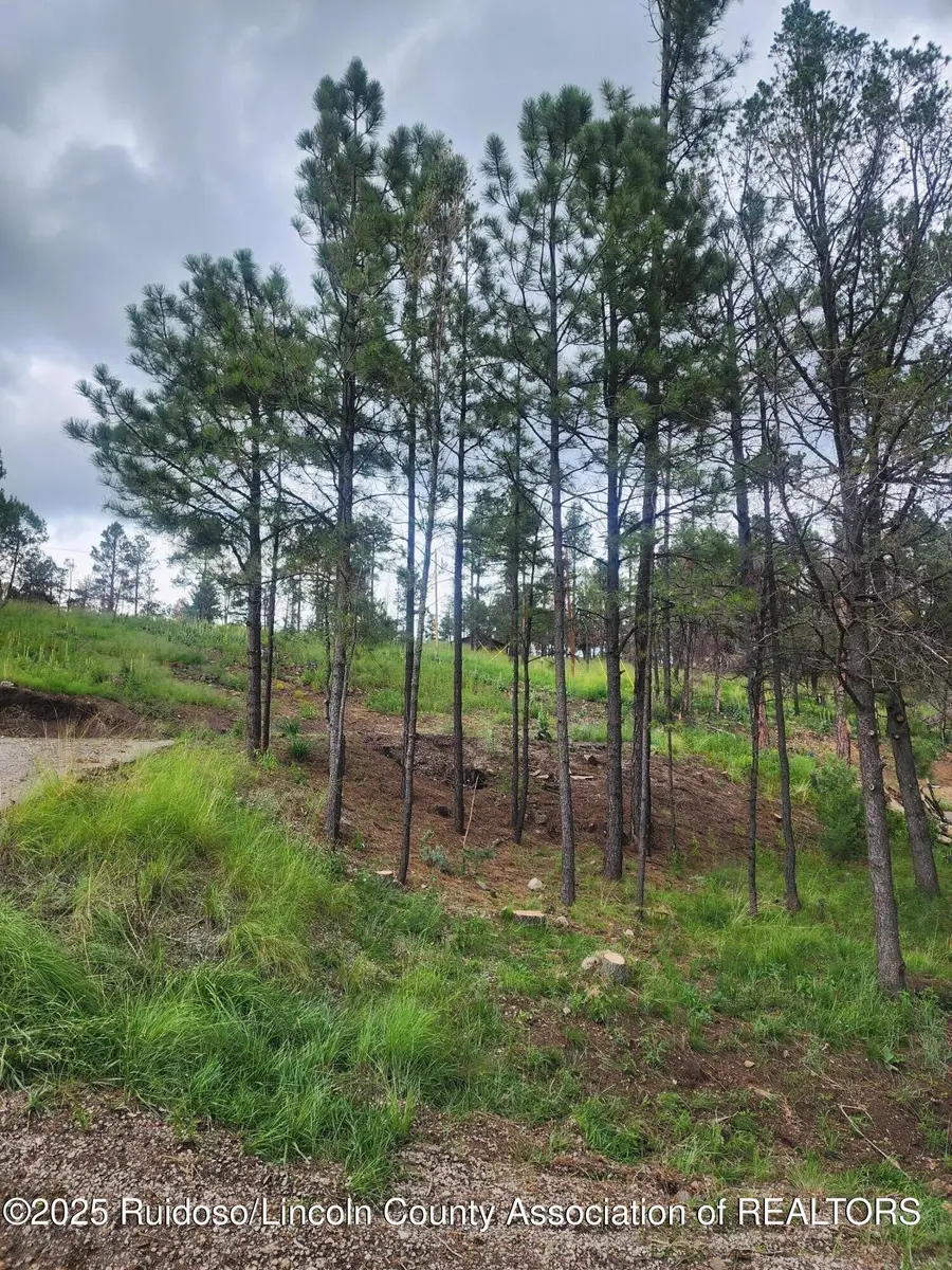 137 Sunset Drive, Alto, NM 88312 - Image #3