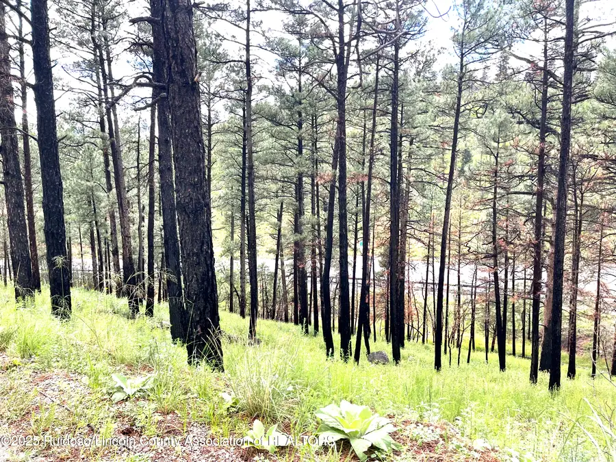 Lot 12 Brentwood Drive, Alto, NM 88312 - Image #3