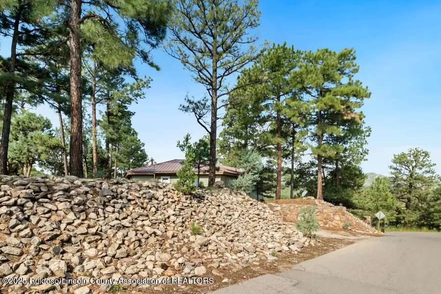 100 Berry Court, Alto, NM 88312 - Image #2