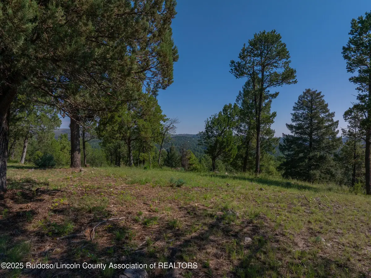 100 Tank Road, Ruidoso, NM 88345 - Image #1