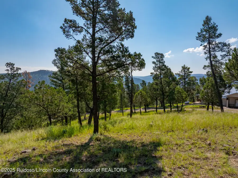 100 Tank Road, Ruidoso, NM 88345 - Image #2