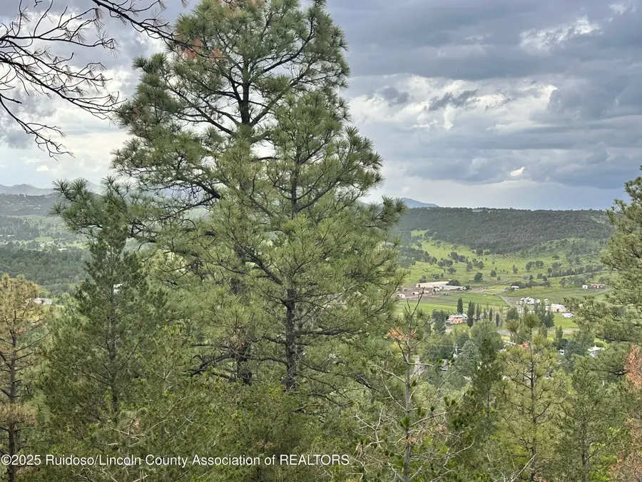 243 Deer Park Drive, Alto, NM 88312 - Image #3