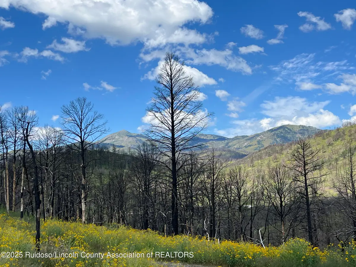 187 Telluride Trail, Ruidoso, NM 88345 - Image #1