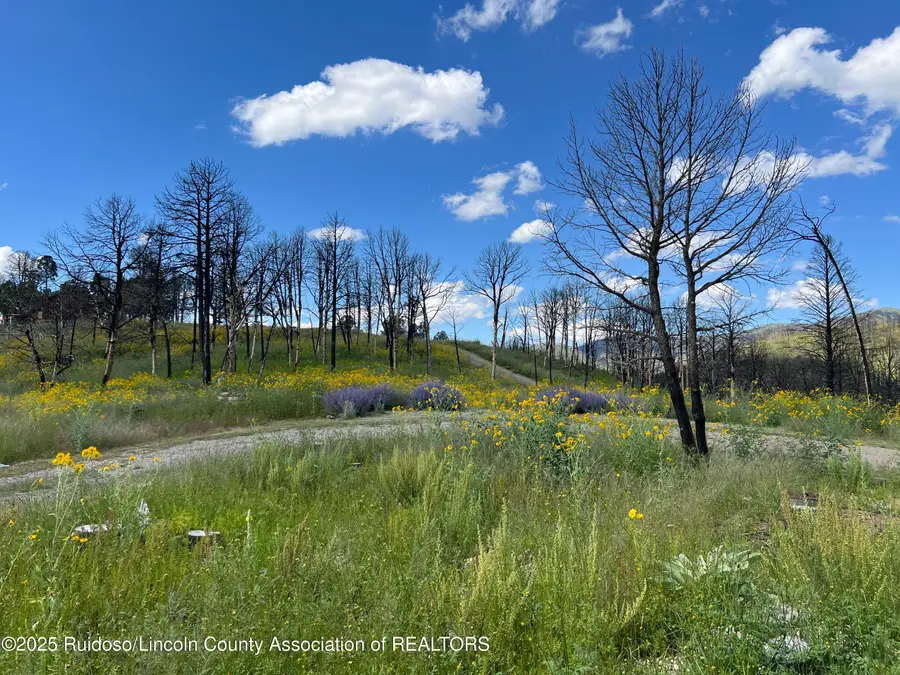 187 Telluride Trail, Ruidoso, NM 88345 - Image #3