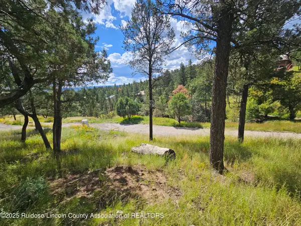 Lot 34 Chiracahua, Ruidoso, NM 88345