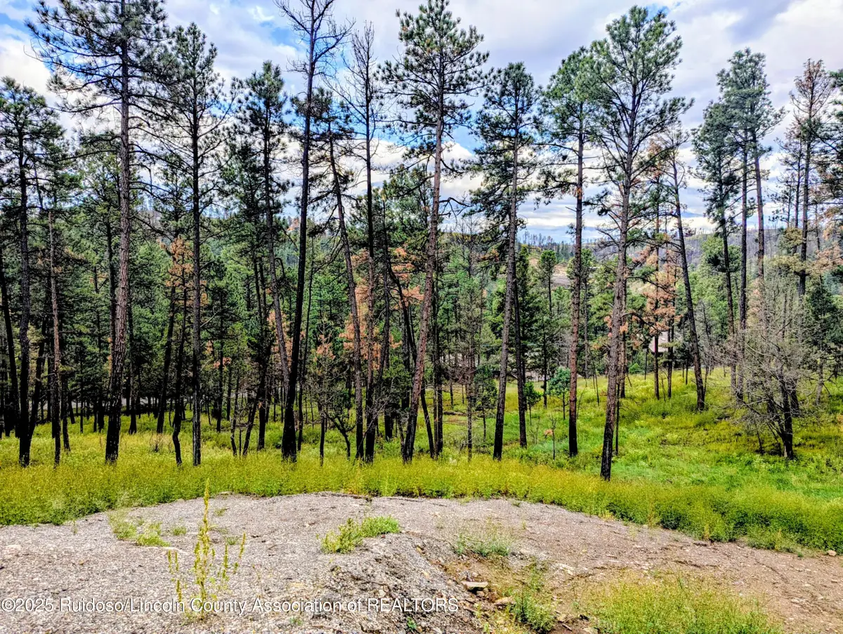 142 Sunset Drive, Alto, NM 88312 - Image #1