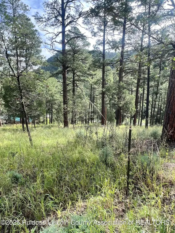 106 Twin Mountain Road, Ruidoso, NM 88345