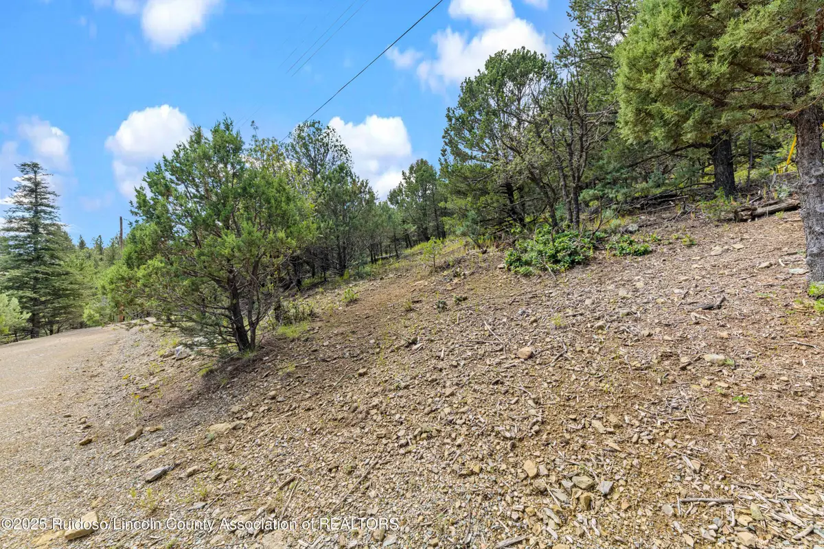 L145&146 Sierra Vista Drive, Alto, NM 88312 - Image #1