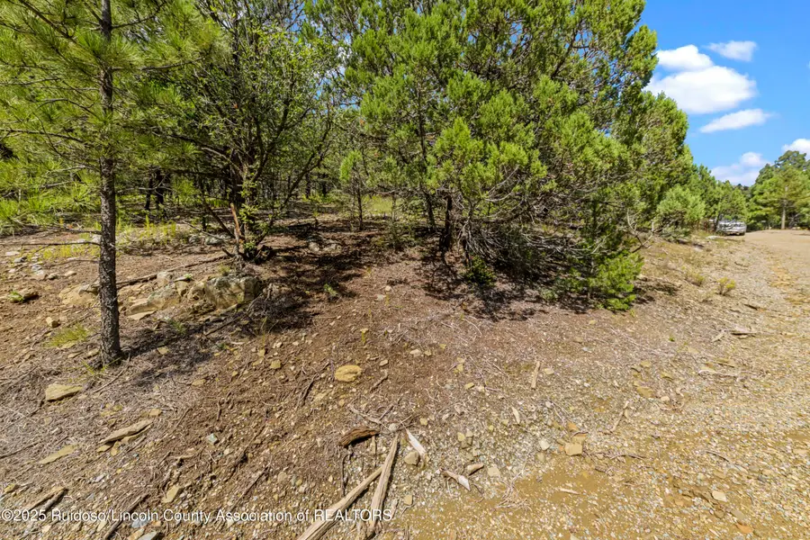 L145&146 Sierra Vista Drive, Alto, NM 88312 - Image #3