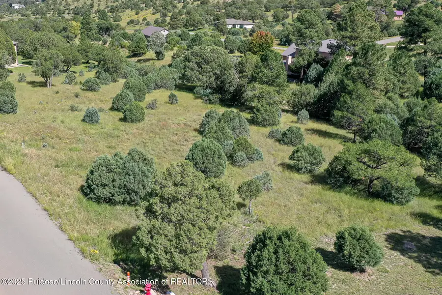 Lot 79 Antler Drive, Alto, NM 88312 - Image #3