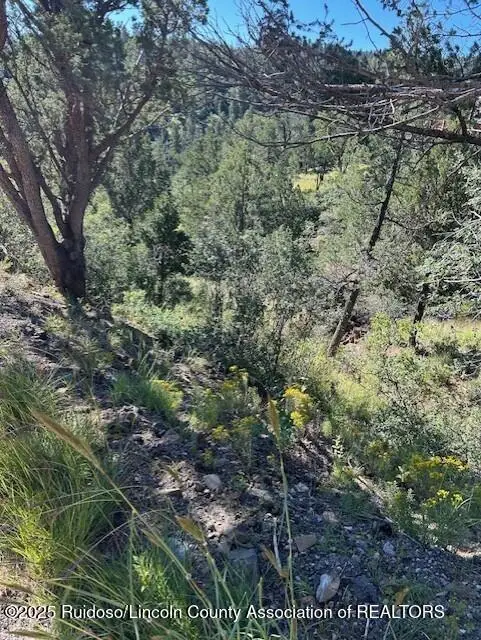 113 & 115 Westbury Drive, Ruidoso, NM 88345 - Image #3