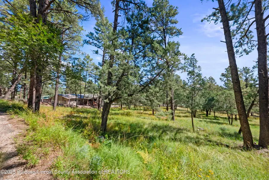 112 Course View Drive, Ruidoso, NM 88345 - Image #3