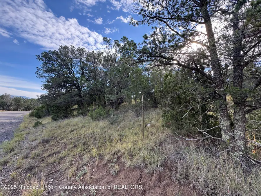 100 Little Smokey Road, Capitan, NM 88316 - Image #2