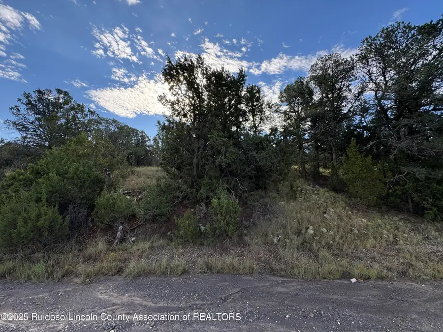 100 Little Smokey Road, Capitan, NM 88316 - Image #3