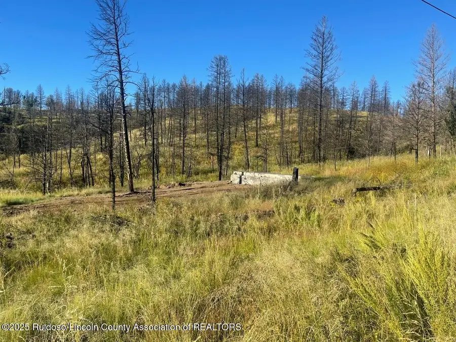 103 Jemez Road, Ruidoso, NM 88345 - Image #2