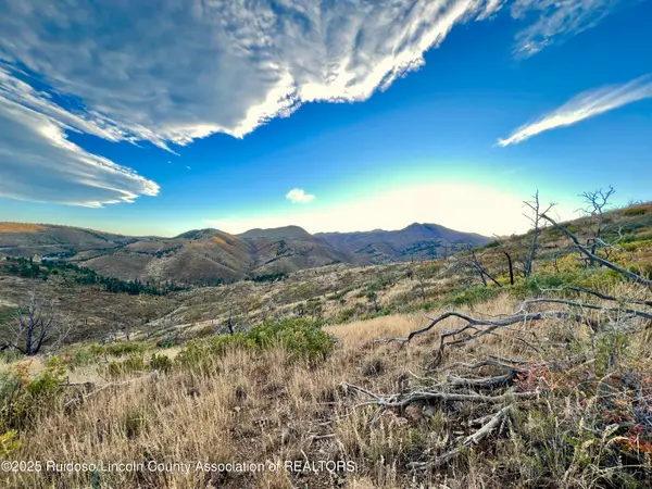 Tract 4/5 Nm Hwy 37, , NM 88341