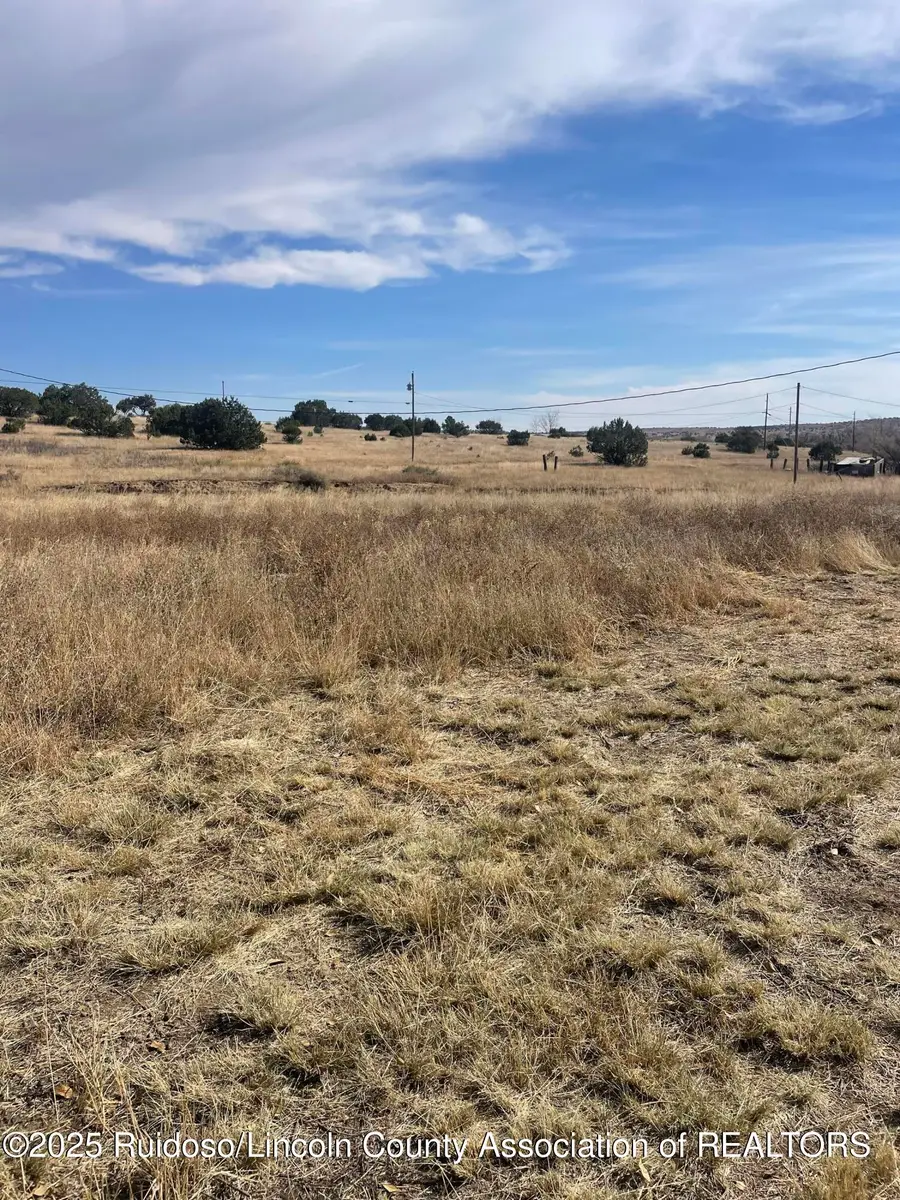 109 Salado Drive, Capitan, NM 88316 - Image #3