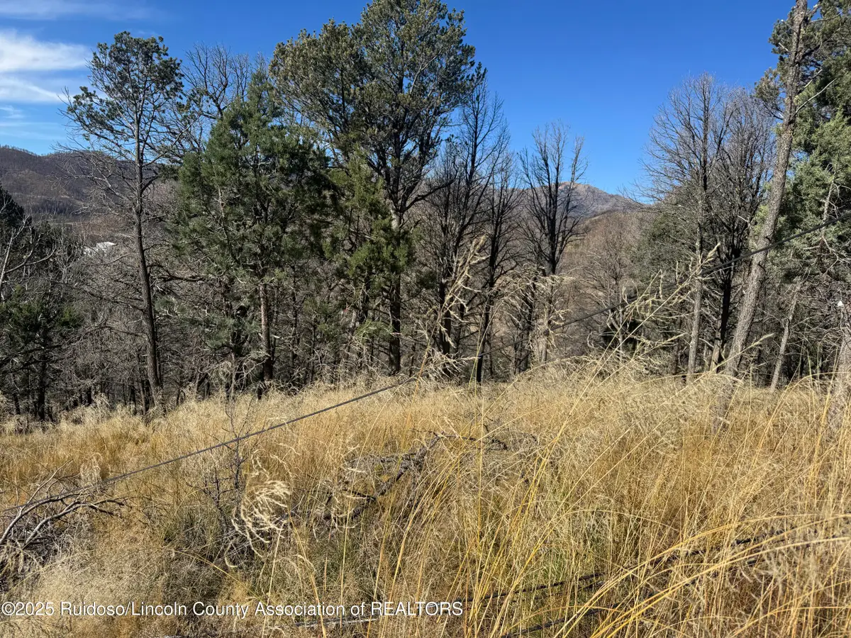 - Pine Shadow Trail, Ruidoso, NM 88345 - Image #1