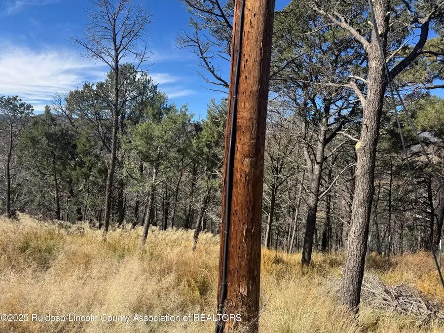 - Pine Shadow Trail, Ruidoso, NM 88345 - Image #2