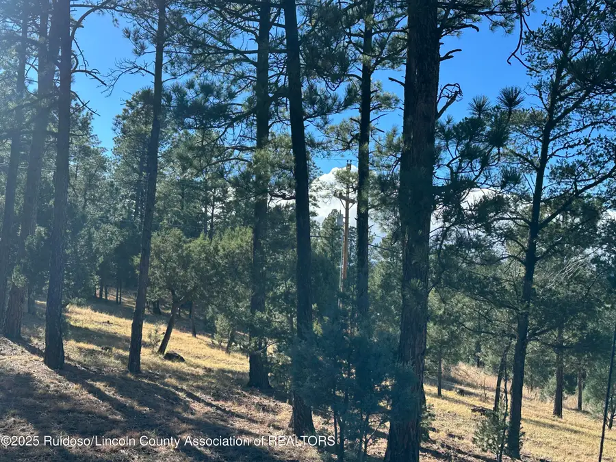 Lot 152 Del Monte Drive, Alto, NM 88312 - Image #2