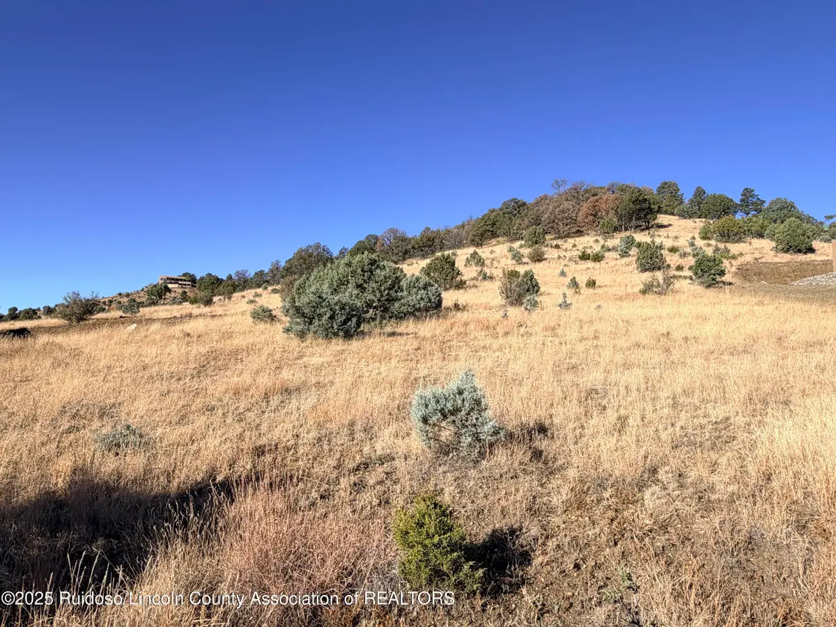 Lot 87 Antler Drive, Alto, NM 88312 - Image #1