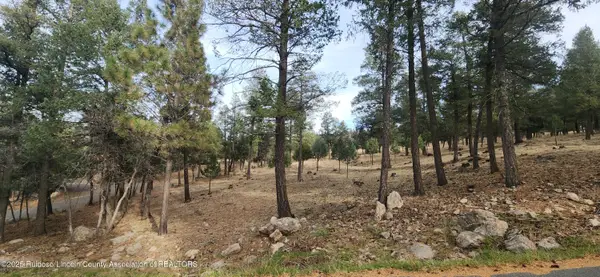 301 Excalibur Road, Ruidoso, NM 88345