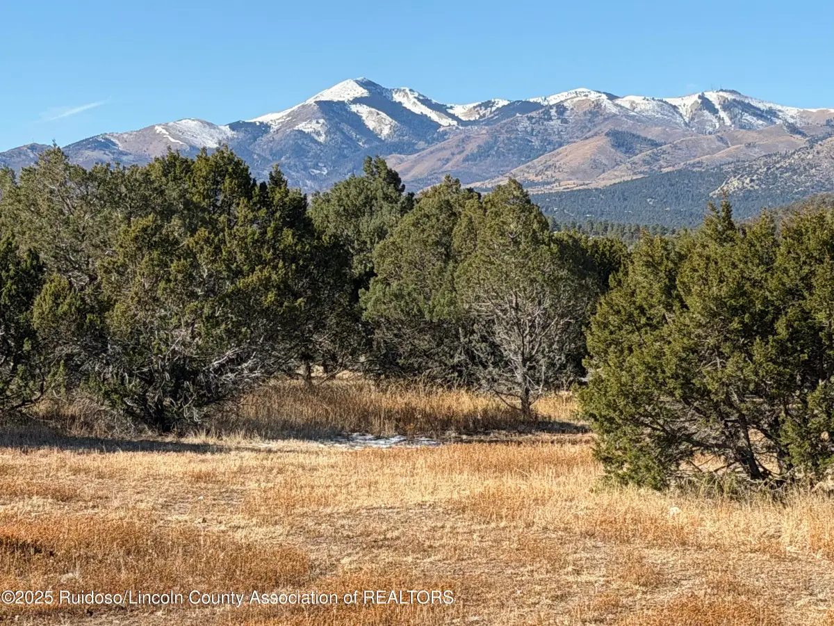 103 Cochiti Ct., Alto, NM 88312 - Image #1