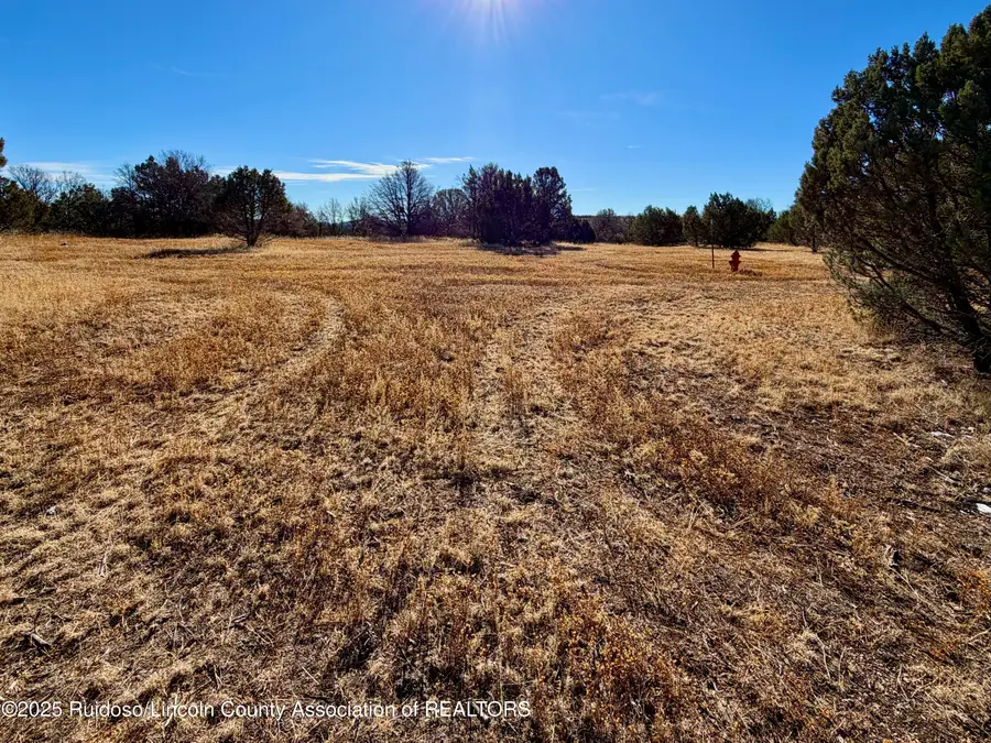 103 Cochiti Ct., Alto, NM 88312 - Image #3