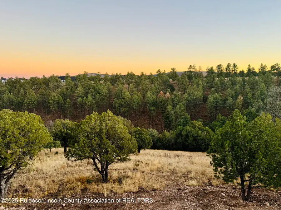 122 Ben Hogan Court, Alto, NM 88312 - #3