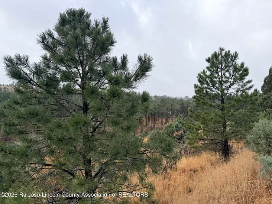 Lot 10A Stable Road, Alto, NM 88312 - Image #2