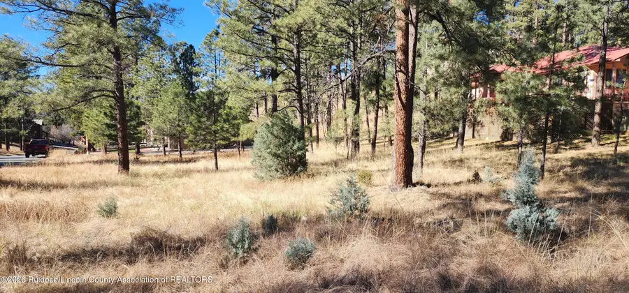 604 White Mountain Meadows Drive, Ruidoso, NM 88345 - Image #2
