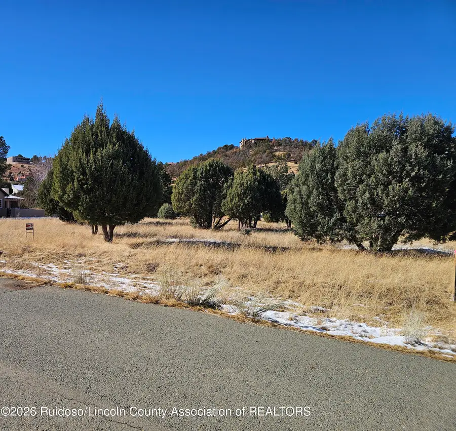 51 Deer Valley Drive, Alto, NM 88312 - Image #3