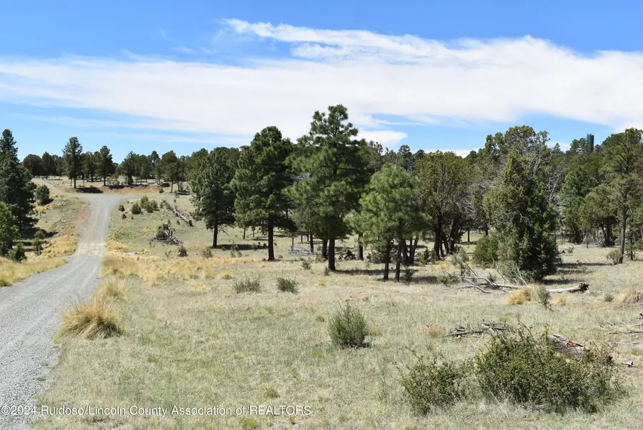 Tract 1&3 Silver Fox Lane, Alto, NM 88312 - Image #2