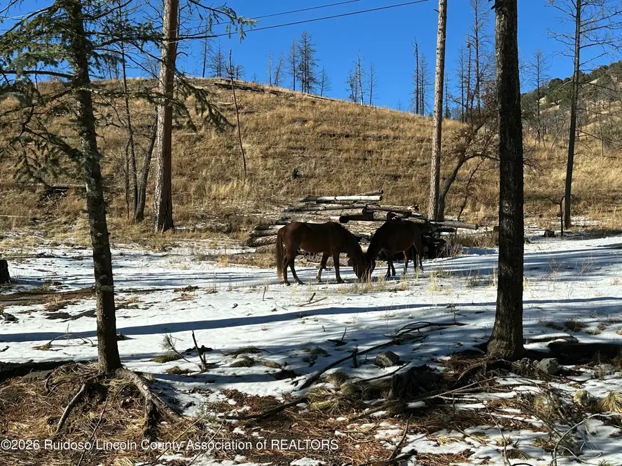 155 Jarratt Lp, Ruidoso, NM 88345 - Image #3
