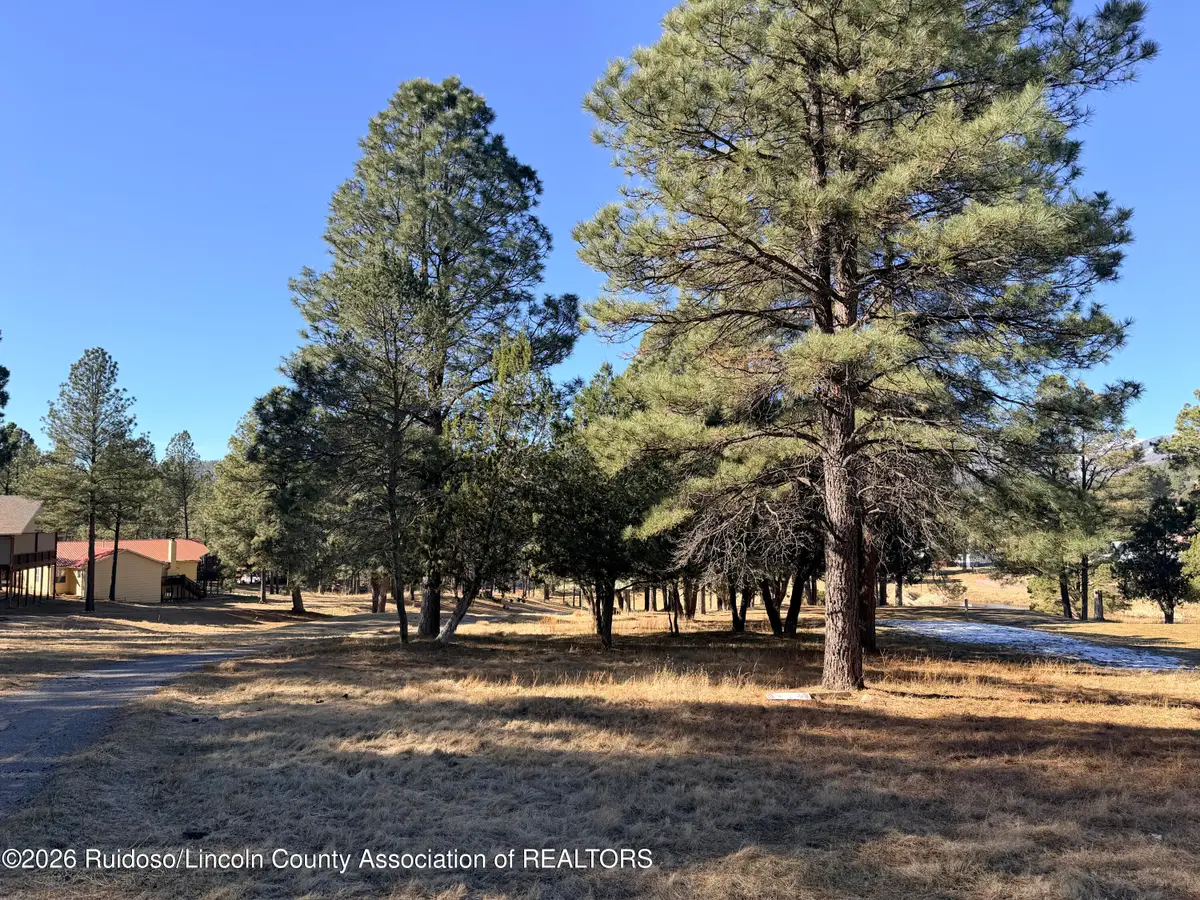 101 Bogie Lane, Ruidoso, NM 88345 - #1