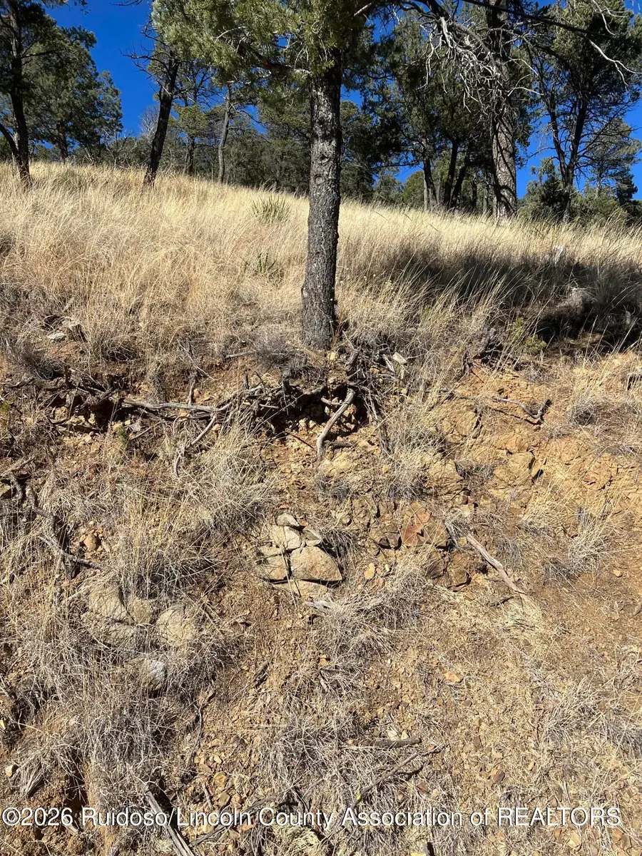 115 College Drive, Ruidoso, NM 88345 - Image #3