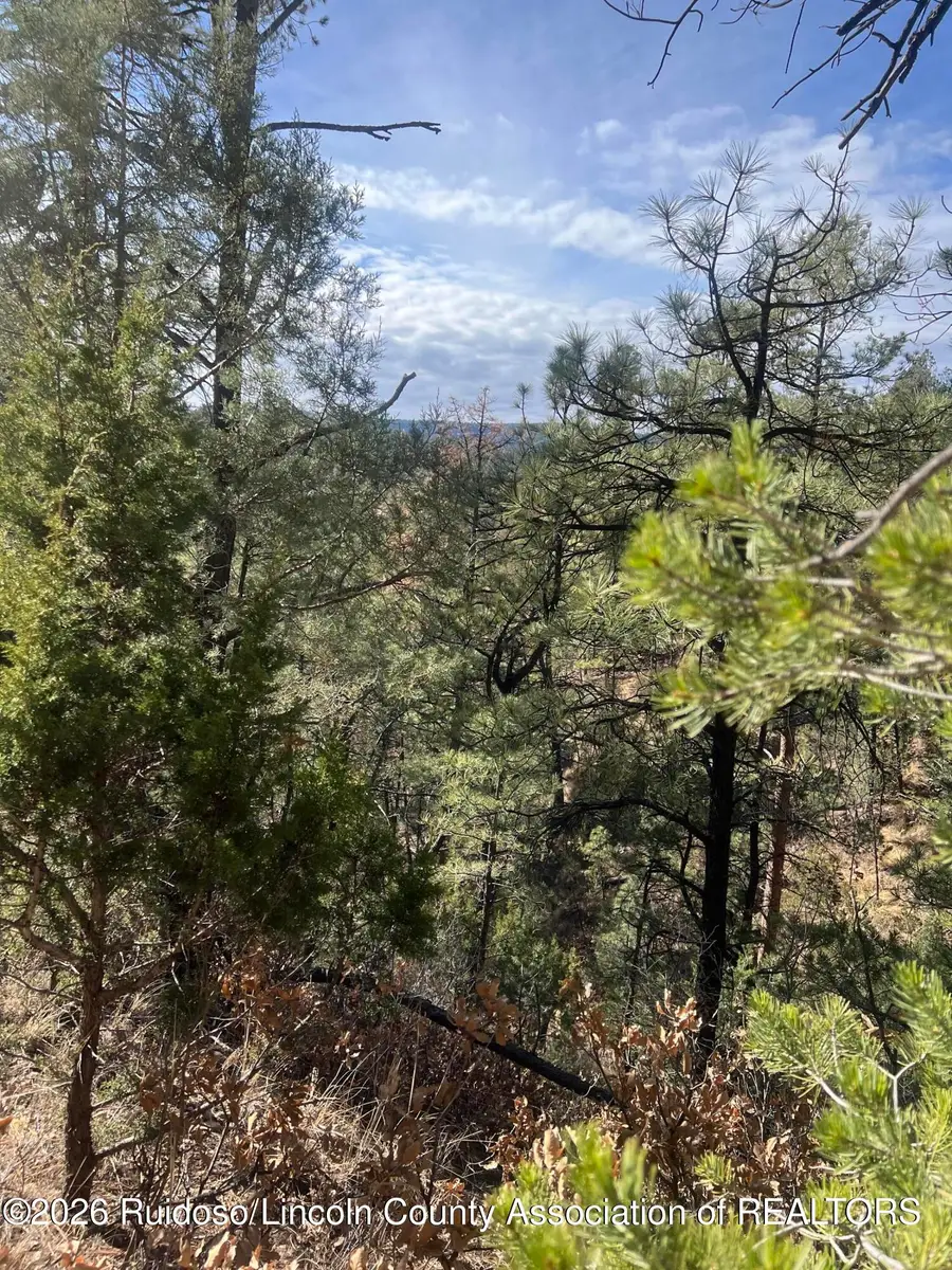 - Gresswell Road, Ruidoso, NM 88345 - Image #2