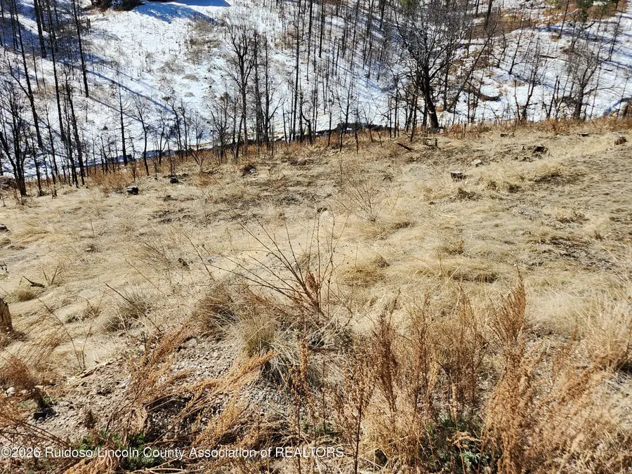 299 Alpine Village Road, Ruidoso, NM 88345 - Image #3