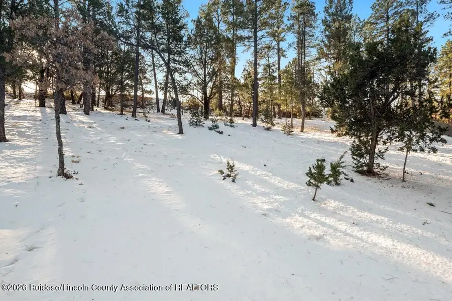 215 Midiron Drive, Alto, NM 88312 - Image #2