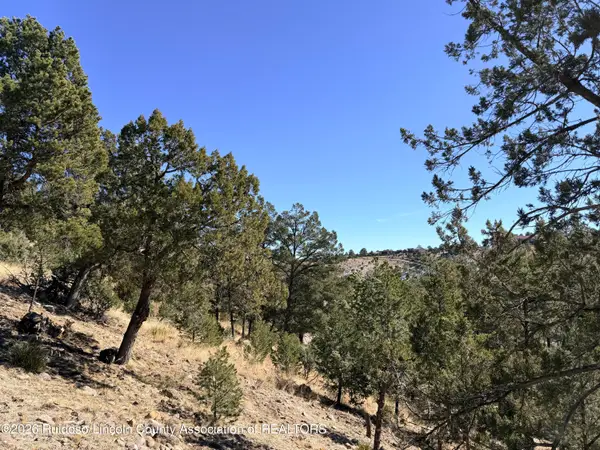 Lot T43C Bobcat Trail, Alto, NM 88312