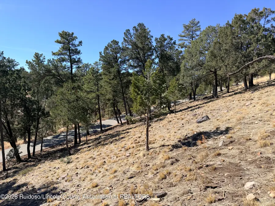 Lot T43C Bobcat Trail, Alto, NM 88312 - #2