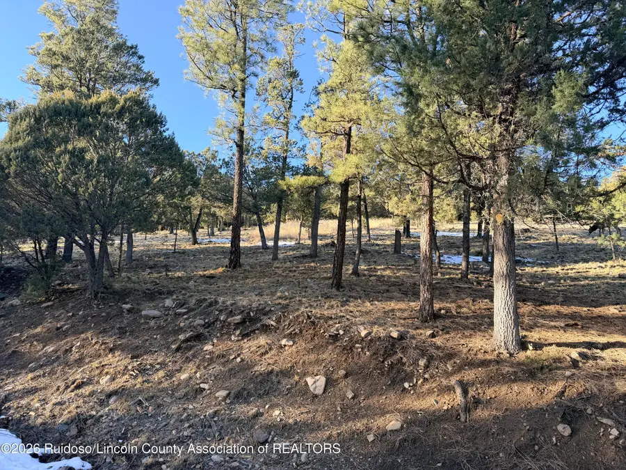 Lot T43C Bobcat Trail, Alto, NM 88312 - #3