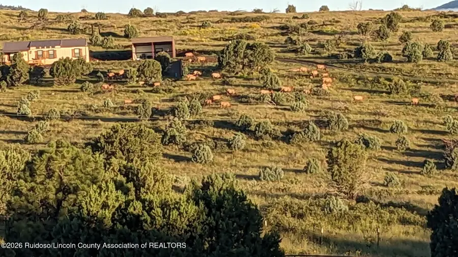 110 Gilbert Road, Capitan, NM 88316 - Image #2