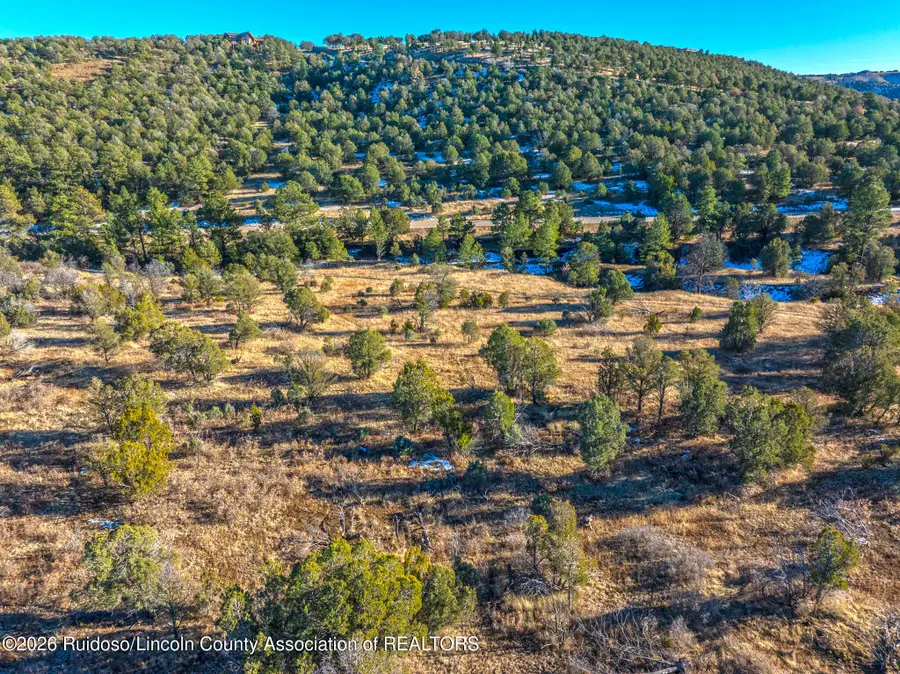 38 Copper Ridge Road, Alto, NM 88312 - #3
