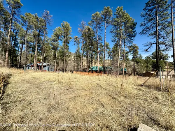 204 Sequoia Drive, Ruidoso, NM 88345