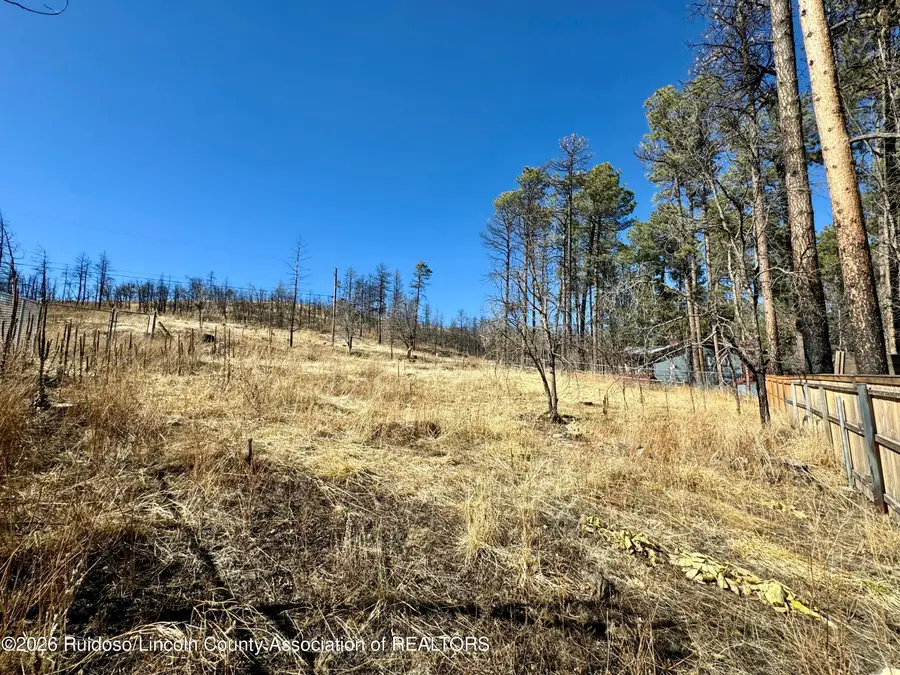 204 Sequoia Drive, Ruidoso, NM 88345 - #2