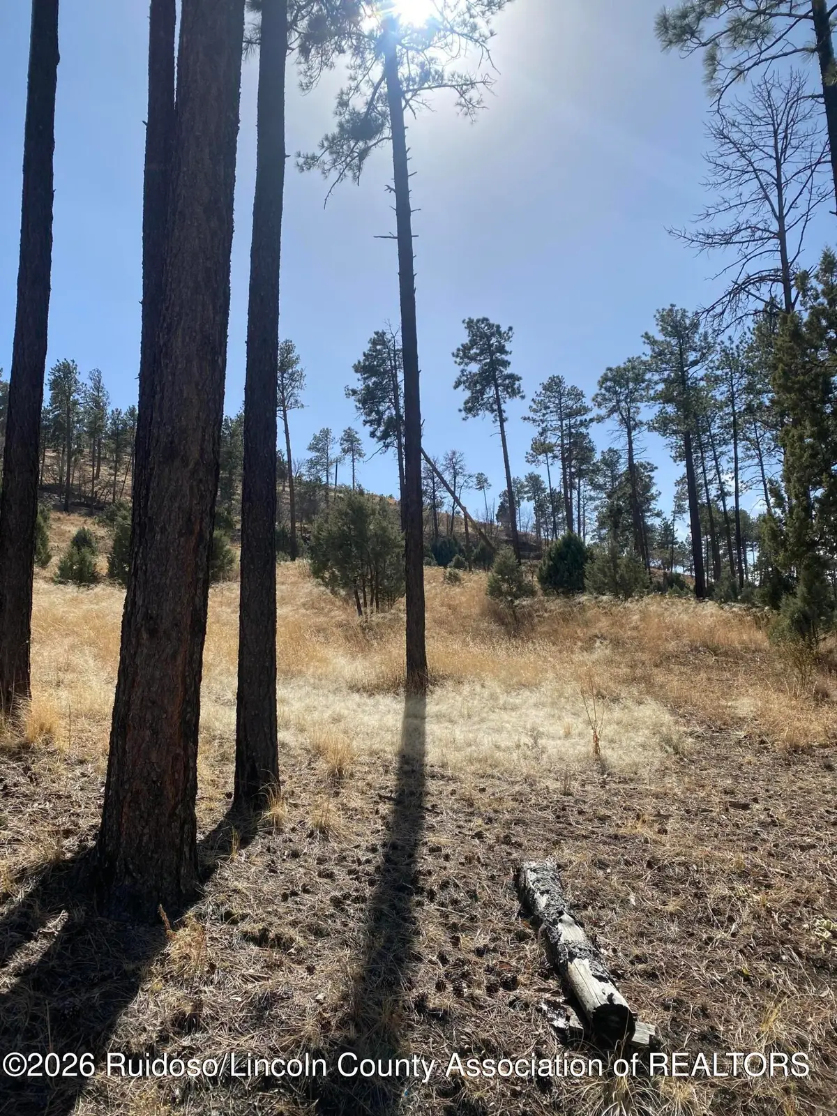 81 Stable Road, Alto, NM 88312 - #1